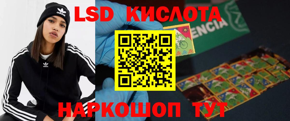 MEGA ссылки  Вход с VPN  Курчалой  Лсд 25 экстази кислота 