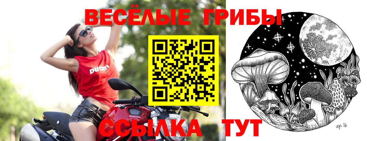Галлюциногенные грибы MAGIC MUSHROOMS Курчалой