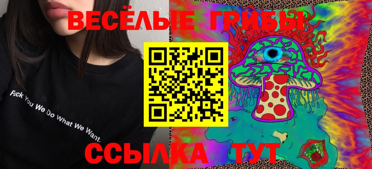 даркнет сайт  Вход с VPN  Курчалой  Галлюциногенные грибы прущие грибы 